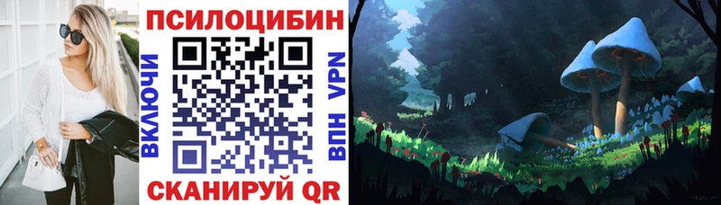 Псилоцибиновые грибы ЛСД  kraken как зайти  нарко площадка официальный сайт  Курильск 